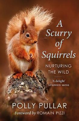A Scurry of Squirrels: Nurturing The Wild from Summerfield Books