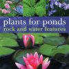 Plants for Ponds: Rock and Water Features