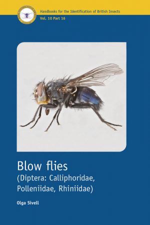 Blow flies book cover