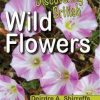 Discovering British Wildflowers book cover