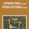 Fungi Europaei Conocybe Fayod Book Cover