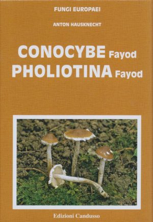 Fungi Europaei Conocybe Fayod Book Cover