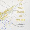 The Sea is Not Made of Water: Life Between the Tides