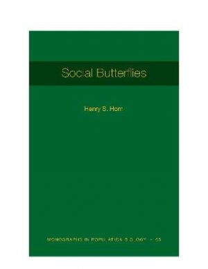 Social Butterflies