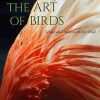 The Art of Birds: Grace and Motion in the Wild