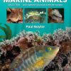 Great British Marine Animals book Cover