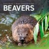 Beavers Ecology, Behaviour, Conservation, and Management book cover