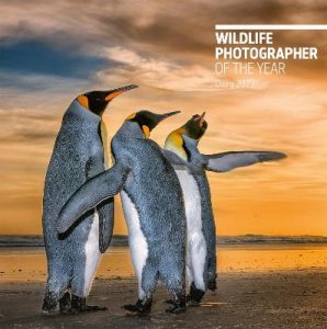 Wildlife Photographer of the Year Desk Diary 2022 from Summerfield Books