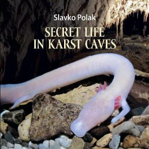 Secret Life in Karst Caves