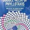 Double Helix of Phyllotaxis: Analysis of the Geometric Model of Plant Morphogenesis
