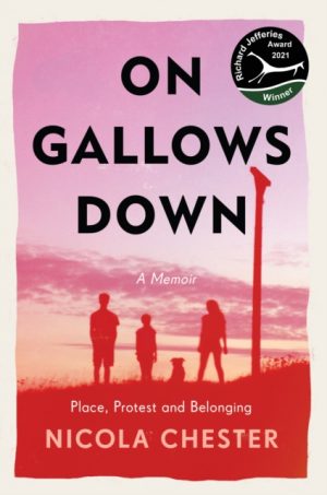 On Gallows Dpwn book cover