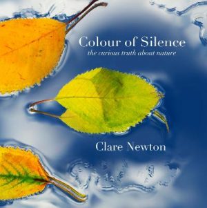 Photos Colour of Silence: a spiritual journey into nature