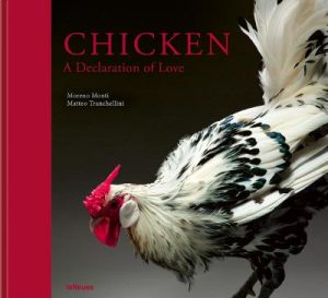Chicken: A Declaration of Love