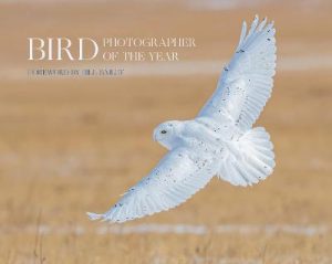 Bird Photographer of the Year: Collection 6 (Bird Photographer of the Year)