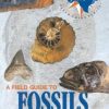 A Field Guide to Fossils of Texas