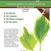 Cut Foliage: A practical guide to its selection and care