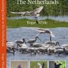 A Birdwatching Guide to The Netherlands