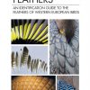 Feathers book cover
