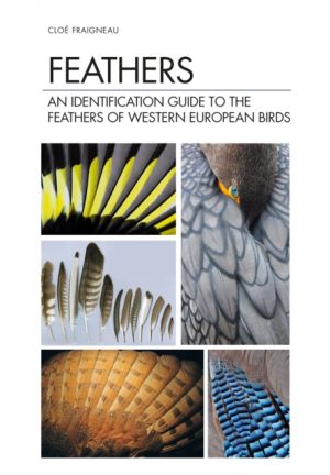 Feathers book cover