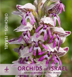 Orchids of Israel book cover