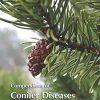 Compendium of Conifer Diseases
