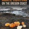 Agate Hunting on the Oregon Coast: A Guide to the 40 Best Agate Hunting Sites