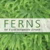 Ferns For A Cool Temperate Climate