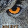An Eye for Birds