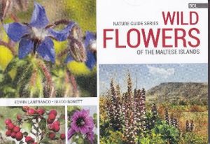 Wild Flowers of the Maltese Islands: 2018