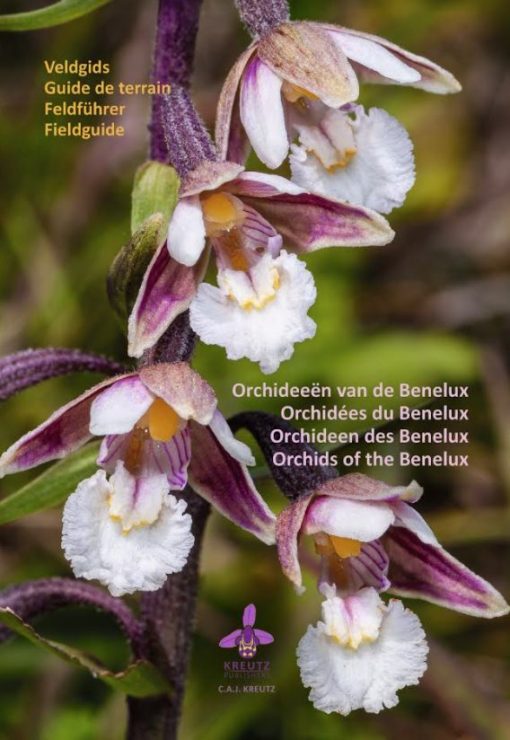 Orchids of the Benelux book cover