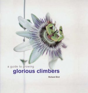 A Guide to Growing Glorious Climbers