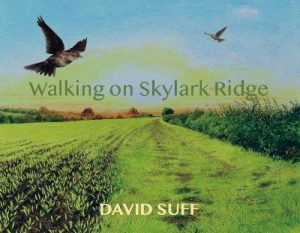 WALKING ON SKYLARK RIDGE