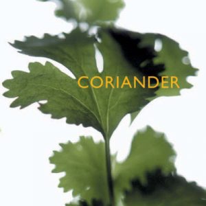 Coriander