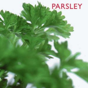 Parsley
