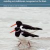 Pilot study to investigate Oystercatcher (Haematopus ostralegus) feeding behaviour to enhance bird food modelling and shellfisheries management on The Wash.