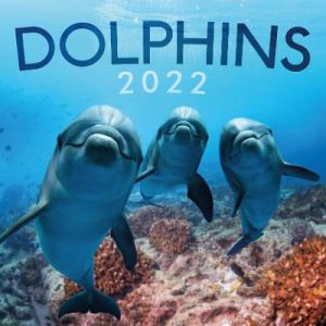 Dolphins 2022 Calendar