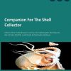 Companion For The Shell Collector: Chitons, Tusk-Shells, Bivalves, Gastropods, Cephalopods, Brachiopods, Sea-Urchins, Starfish, Land-Snails & Freshwater-Molluscs