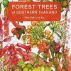 Forest Trees of Southern Thailand Vol. 3 (Mo-Z): Monimiaceae to Ximeniaceae & Gymnosperms