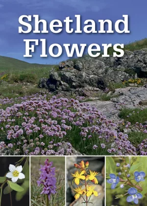 Shetland Flowers