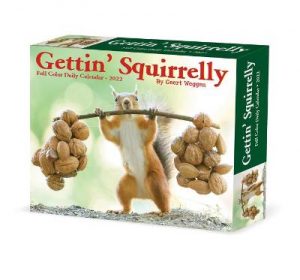 Gettin' Squirrelly 2022 Box Calendar, Daily Desktop Animal Humor