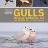 Gulls of Europe, North Africa, and the Middle East book cover