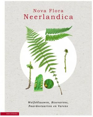 Nova Flora Neerlandica, Volume 1: Lycopodiopsida & Polypodiopsida: Wolfsklauwen, Biesvarens, Paardestaarten en Varens (Clubmosses, Quillworts, Horsetails and Ferns)