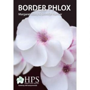 Border Phlox: 2020: 2