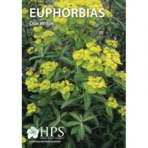 Euphorbias