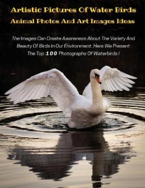 Artistic Pictures of Water Birds with Descriptive Text - Animal Photos and Art Images Ideas - HD Colorful Book: The Images Can Create Awareness About The Variety And Beauty Of Birds In Our Environment - Here We Present The Top 100 Photographs Of Waterbirds !
