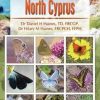The Butterflies of North Cyprus