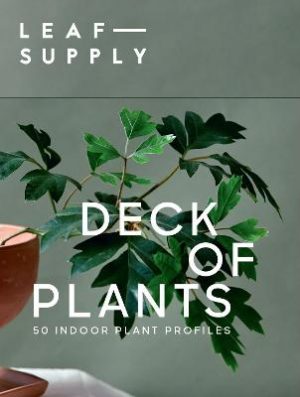 Leaf Supply Deck of Plants: 50 Indoor Plant Profiles