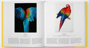 inside pages of Bird : Exploring the winged world