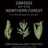 Grasses of the Northern Forest: A Photographic Guide