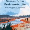 Scenes from Prehistoric Life: From the Ice Age to the Coming of the Romans